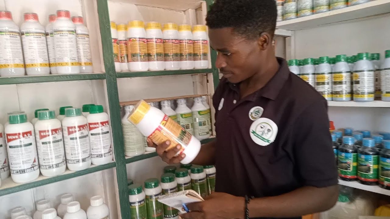 Jinsi ya Kuangamiza Magugu – Njia za Kawaida, Kemikali & Mseto!