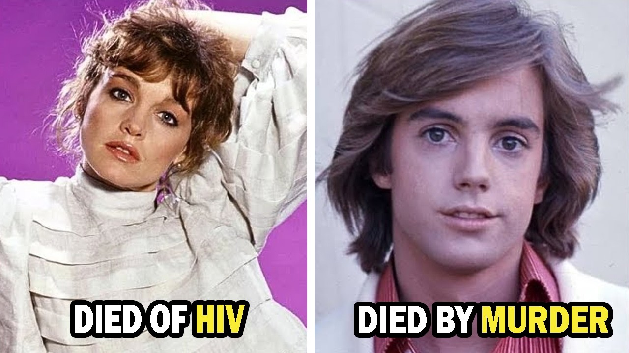 The Hardy Boys/Nancy Drew Mysteries (1977–1979) Then and Now 2026, How They Changed?