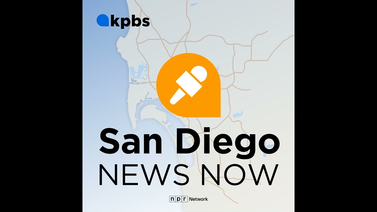How immigration lawyer networks are succeeding