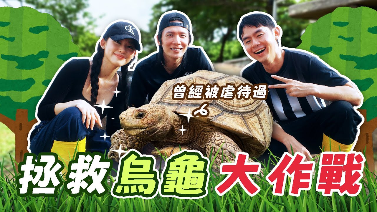 【怪咖 x 烏龜】挑戰照顧700隻烏龜！有人曾經在它殼鑽洞! 嘗試喂世界上最凶的烏龜! 😠【ENG SUBS】