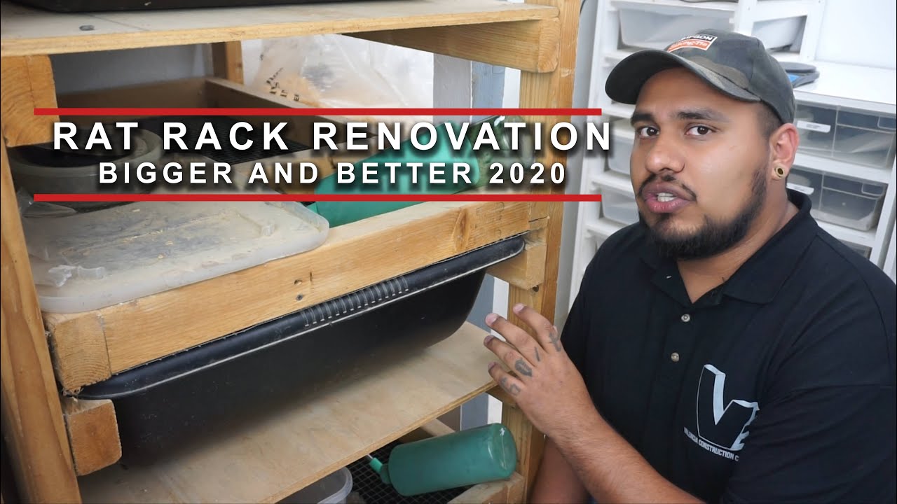 NEW APPROACH TO OUR RAT RACK BUILDS