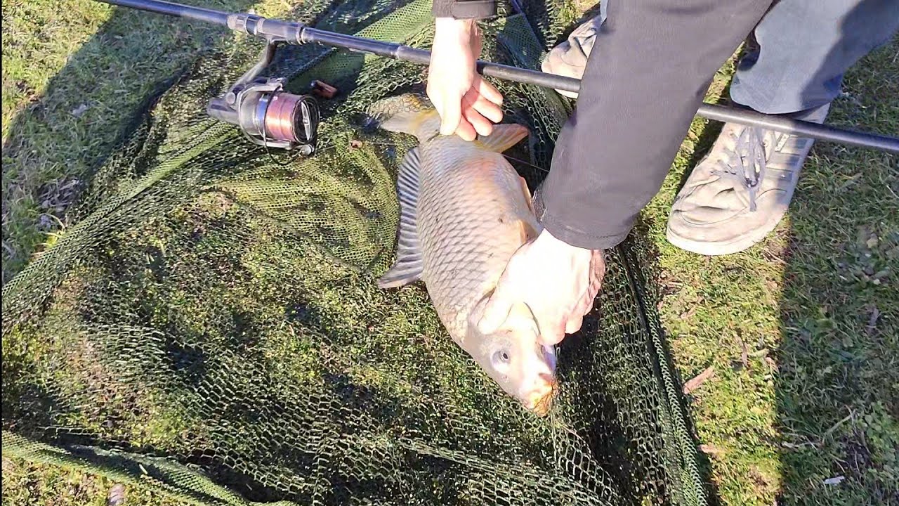 Sazan avı / aksiyonlu sezon kapanış kampı #sazanavı #balıkavı #kamp #fishingvideo #carpfishing #like