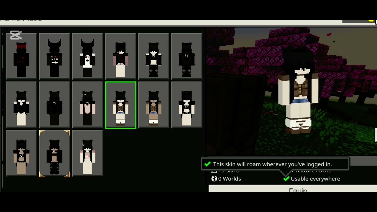 egirl cosmetic skin pack not by me 10+ workin on hive