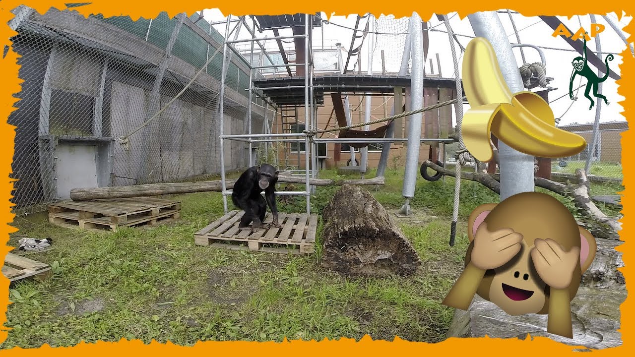 Op z'n elf-en-dertigst - AFLEVERING #10 - Marria vlogt