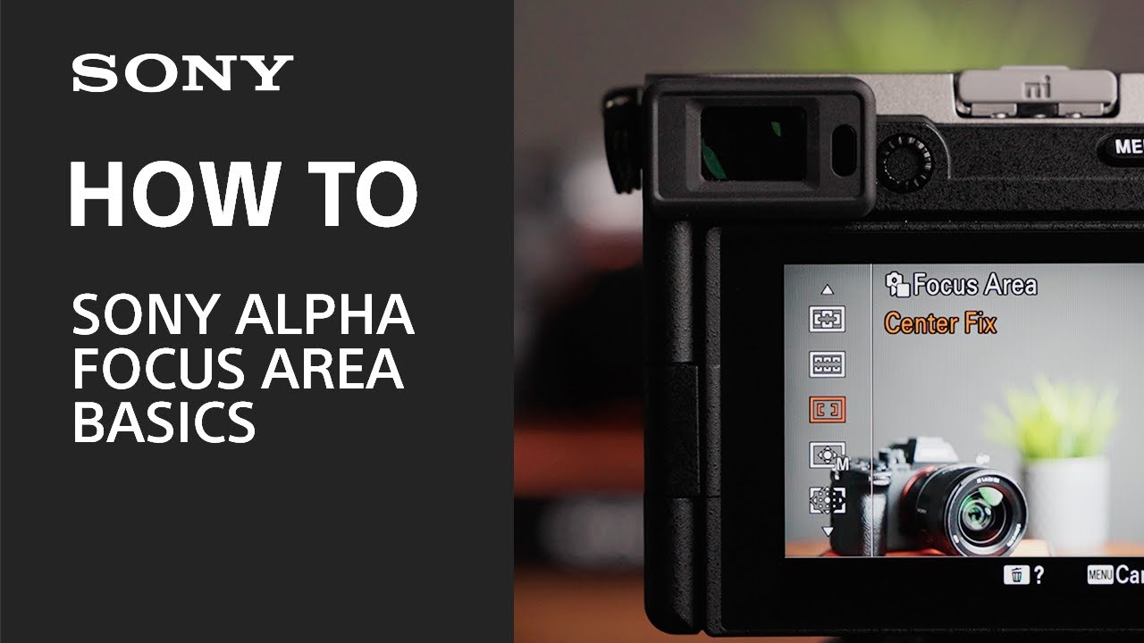 Choose the Right Focus Area on your Sony Alpha Camera
