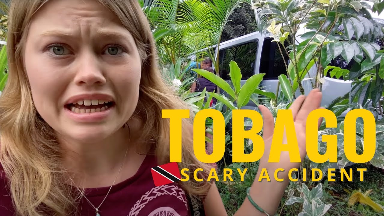 🇹🇹 TOBAGO'S Hidden Gems & SCARY Car Accident! 😱