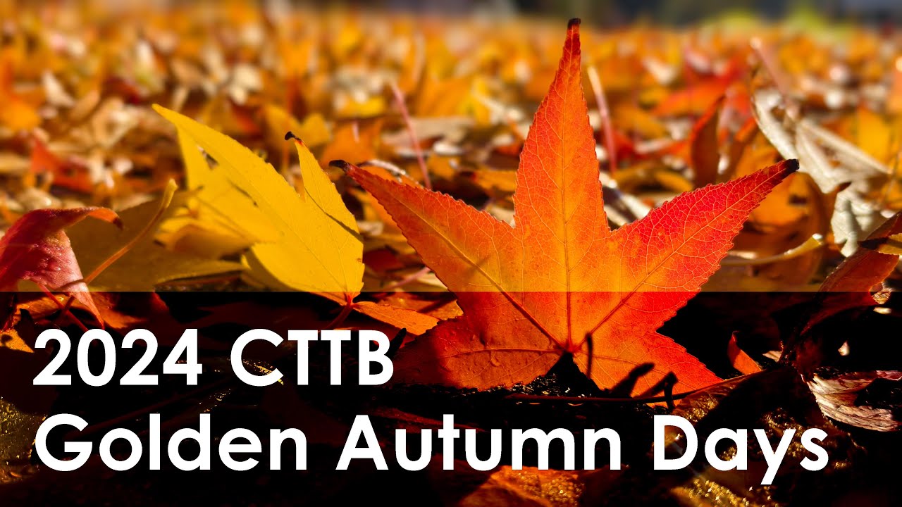 2024 CTTB Golden Autumn Days