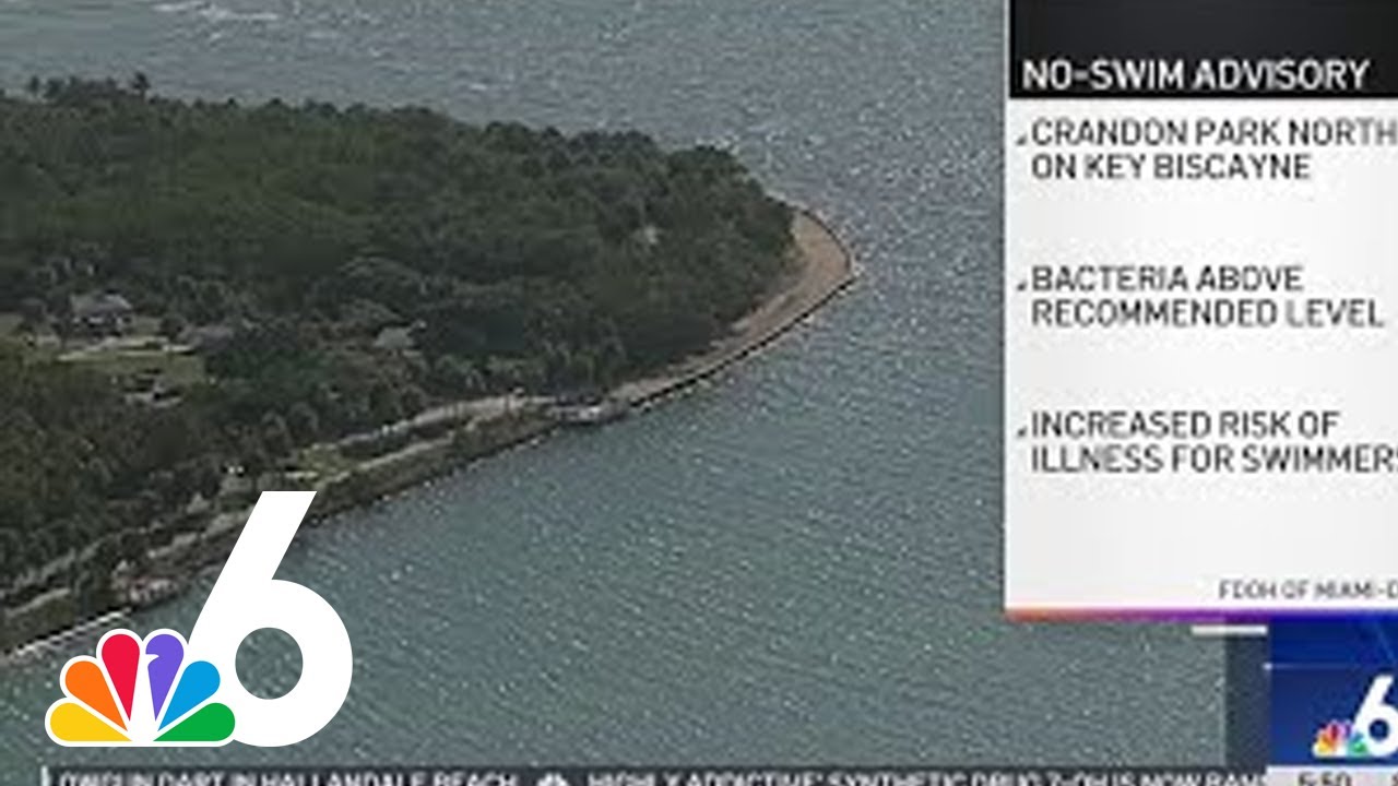 No-swim advisory issued for high bacteria levels at Crandon Park North on Key Biscayne