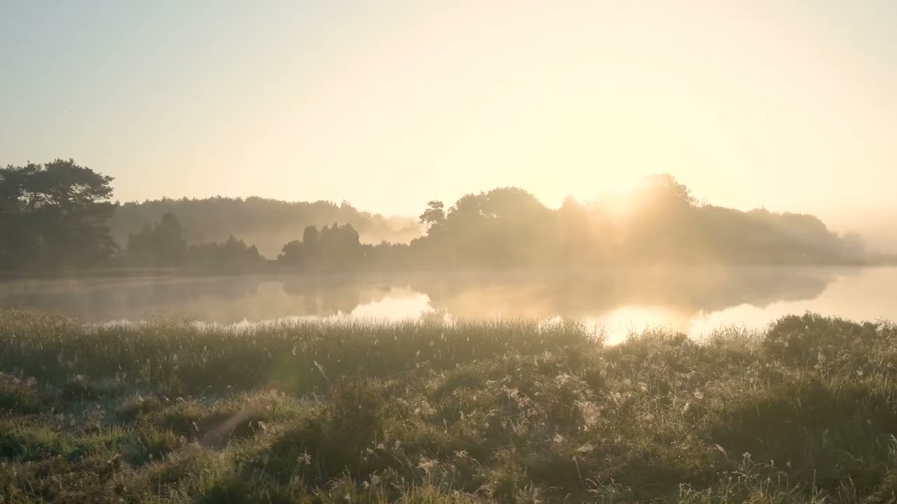 The Calm Between Hours - Peaceful Ambient Music for Focus & Work