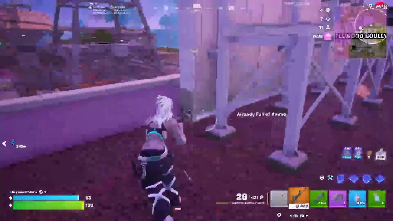Fortnite with the king