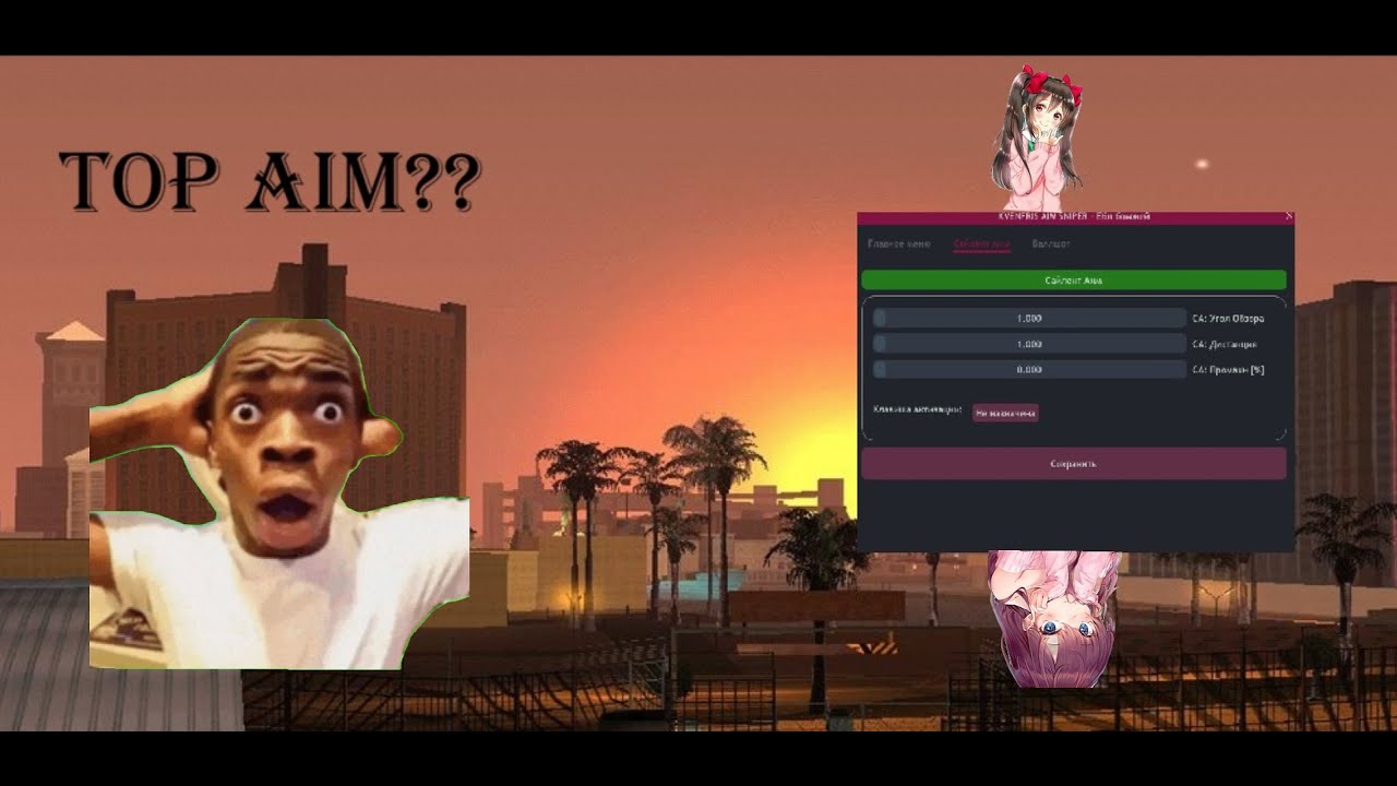 УЛЬТРА ПРИВАТ SILENT AIM ДЛЯ СНАЙПЫ И ДИГЛА ДЛЯ АРИЗОНА РП И ДРУГИХ ПРОЕКТОВ SAMP