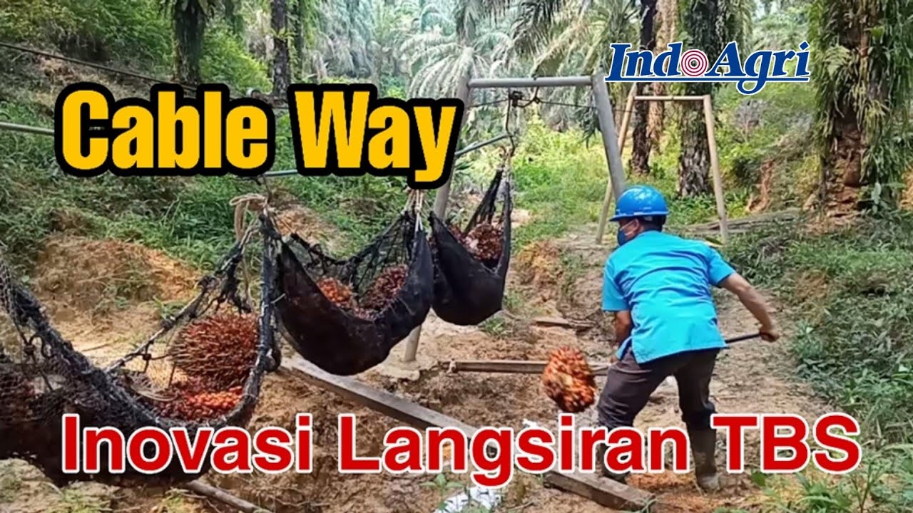 Cable Way Inovasi Langsiran TBS Pada Topografi Berbukit di Kebun Sawit