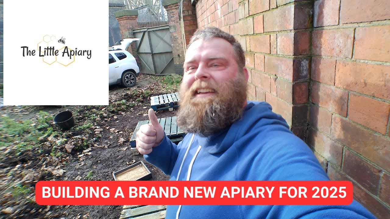 Setting up a new apiary for 2025