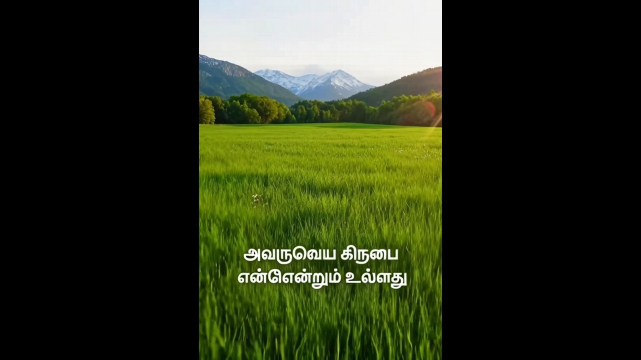 Tamil song 
