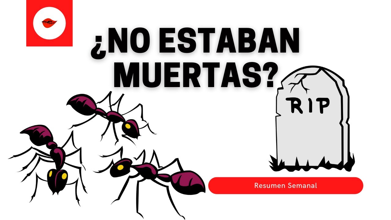 ¿HORMIGAS ZOMBIES? ¡Todas las Colonias!