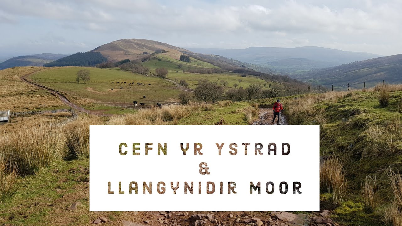 Cefn yr Ystrad and Llangynidir Moor