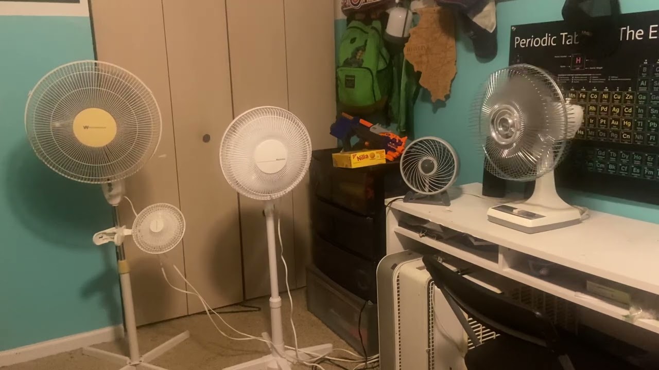 Assortment of Fans