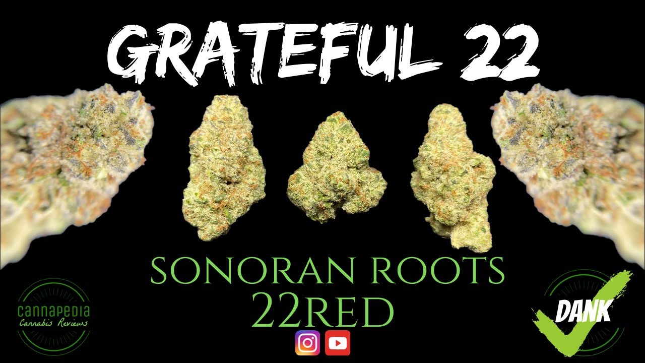 Grateful 22 Strain Review - 22Red - Sonoran Roots - Cannapedia
