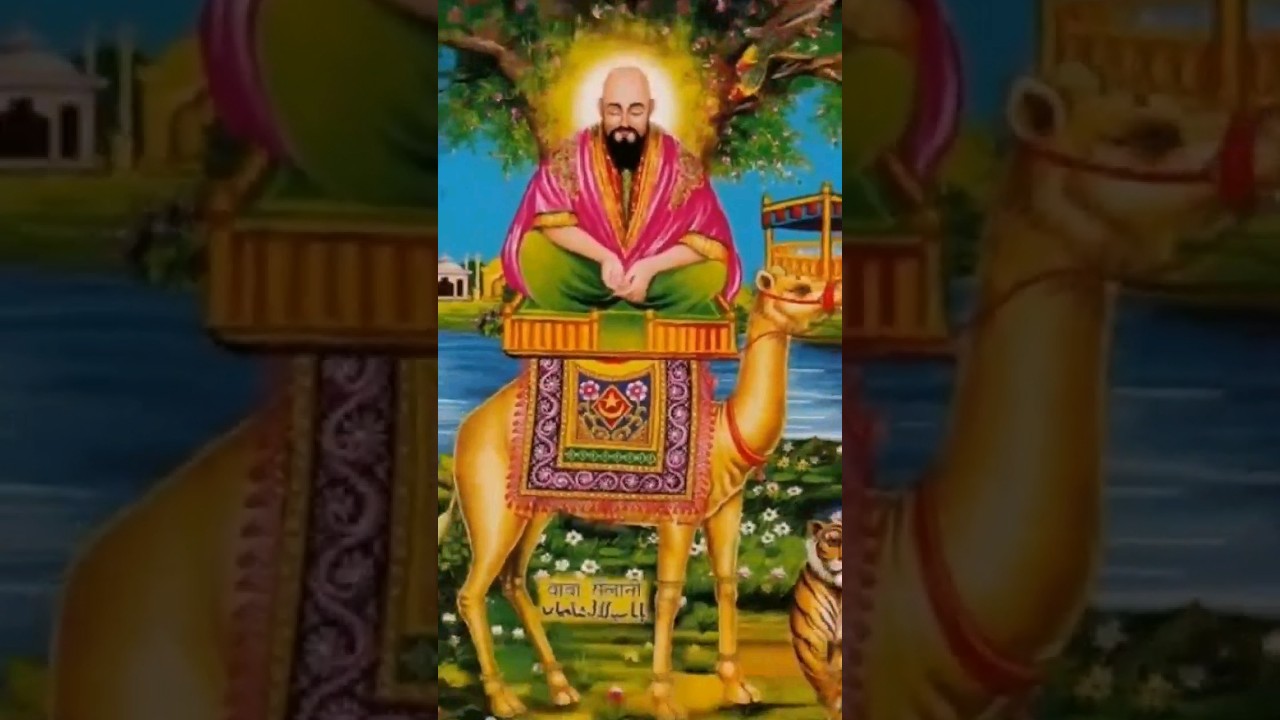 Sailani baba#shorts #shortsvideo #viral