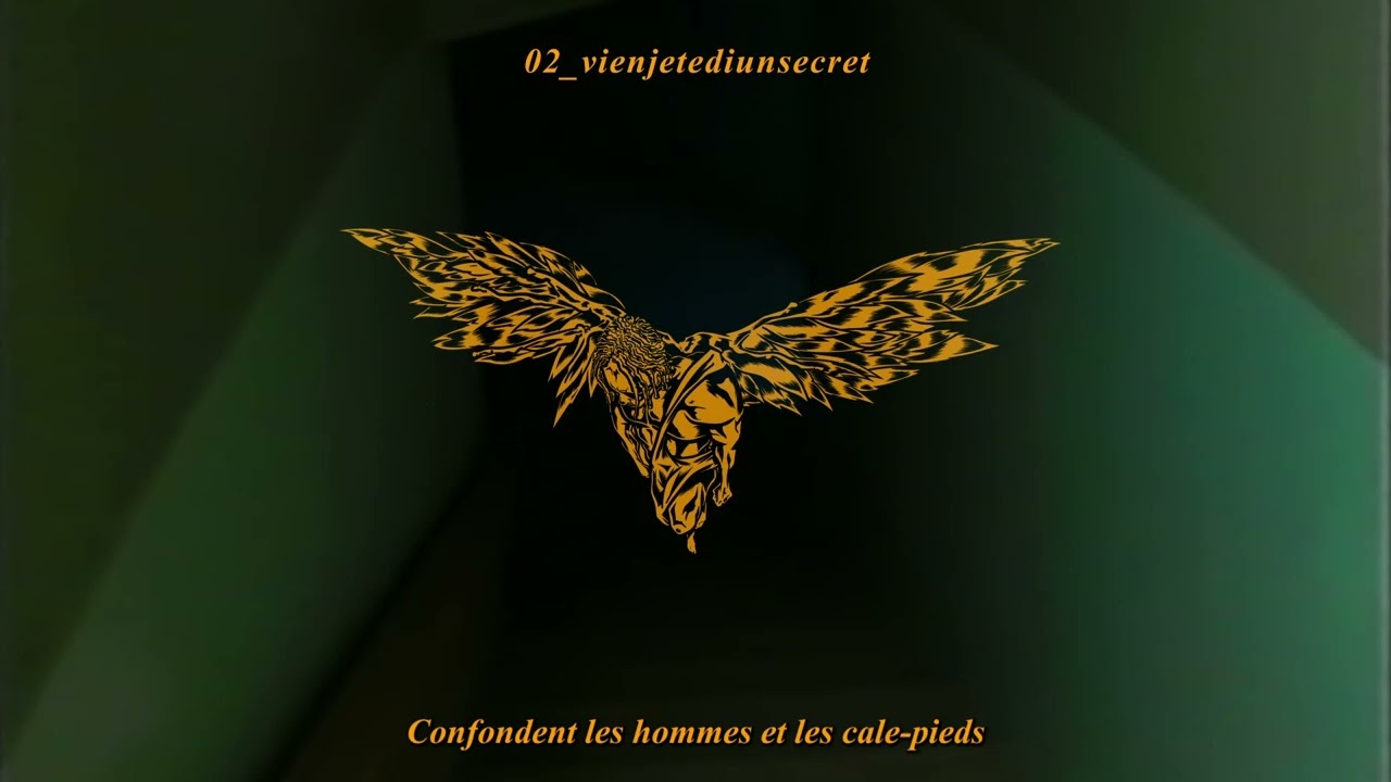Achim - vienjetedisunsecret [visualizer]
