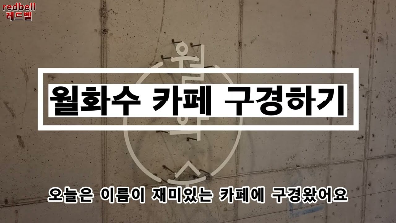 카페 월 화 수