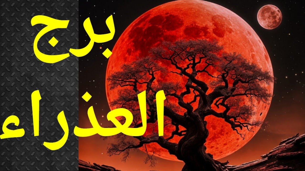 العذراء ، برج العذراء ، تاروت برج العذراء ، العذراء يحتاج يهتم بنفسه أكثر ويترك عنه العلاقة المسمومة