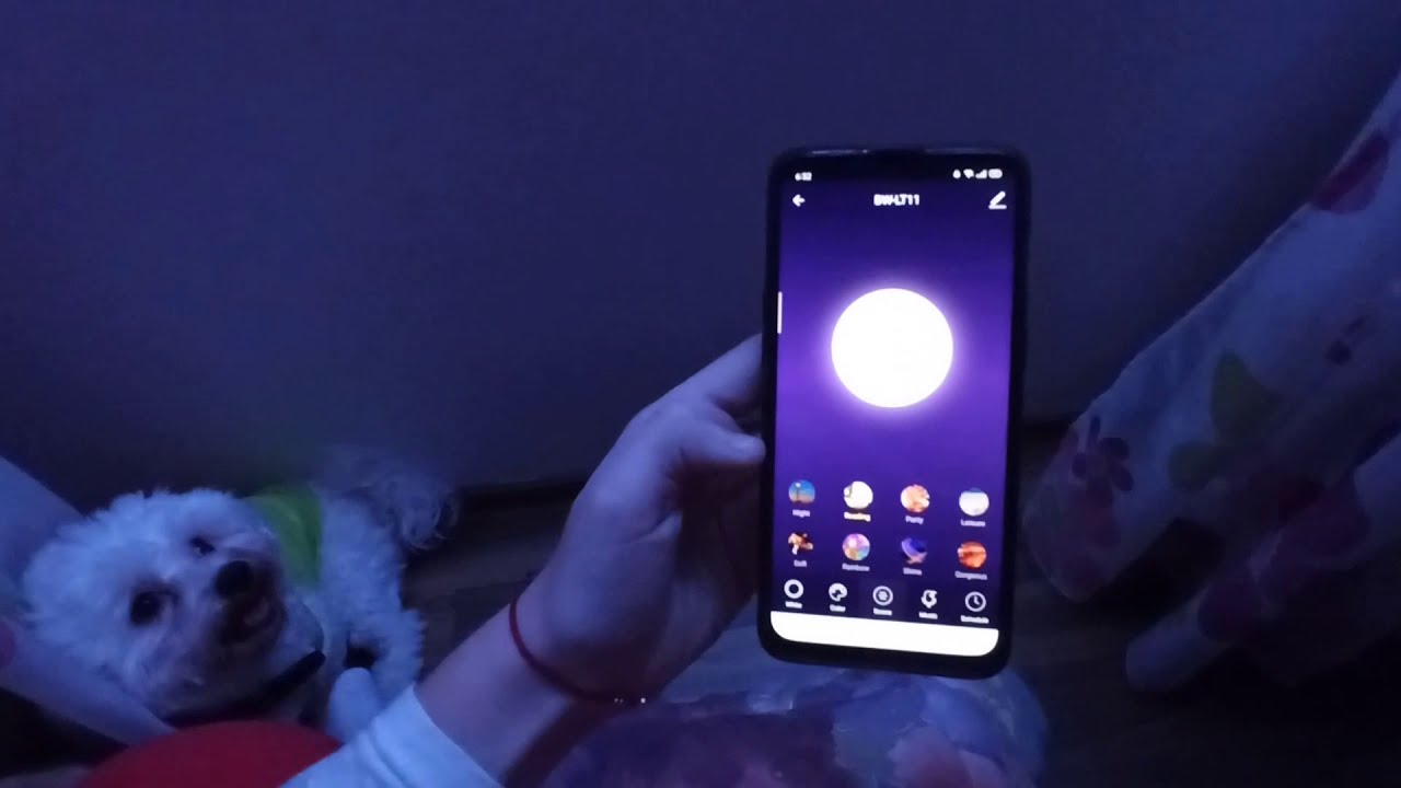 Using BlitzWolf BW-LT11 2M EU Plug LED Strip Light Set with BlitzWolf Android application