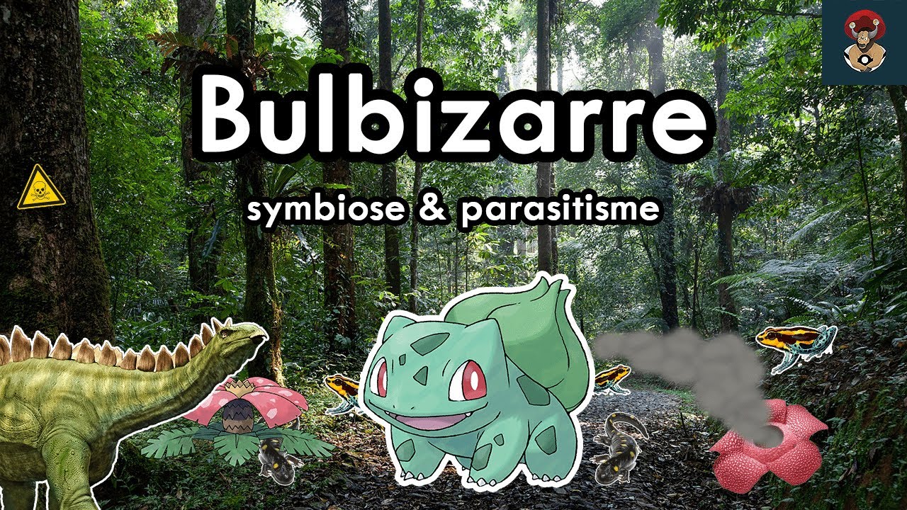 GRENOUILLE VENIMEUSE, SYMBIOSE & PARASITE - Bulbizarre