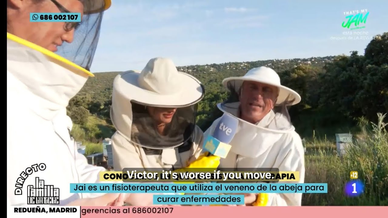 DIRECTO | APITERAPIA (La Familia de la Tele 20/05/25)