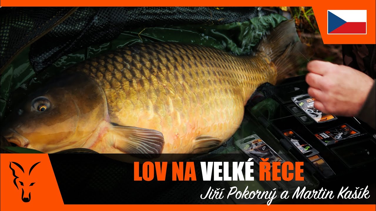 ***CARP FISHING TV CZ&SK*** - LOV KAPRŮ NA VELKÉ ŘECE