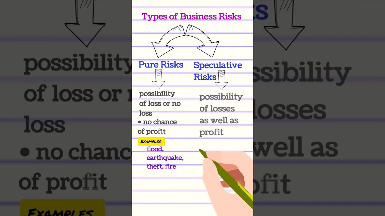 Types of Business Risks| Pure Risk| Speculative Risk| Business Risks| Business Studies Class 11|Bst