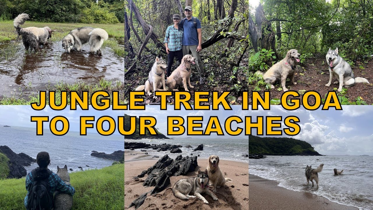 Trekking in Goa | Four secluded beaches | Pet friendly