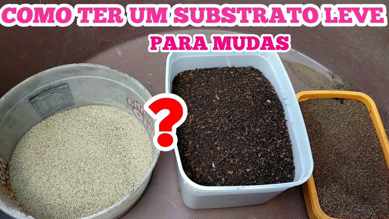APRENDA A FAZER O MELHOR SUBSTRATO PARA O PLANTIO DE MUDAS!CONFIRA.