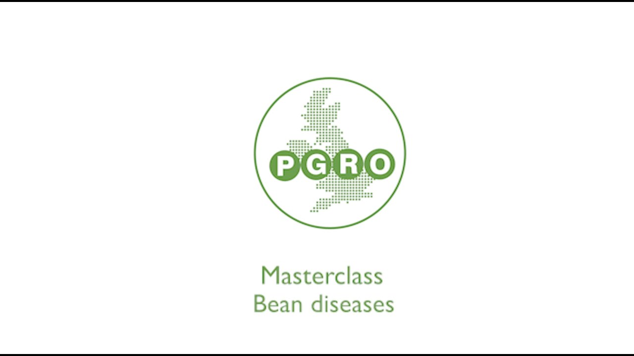 Masterclass: Bean diseases