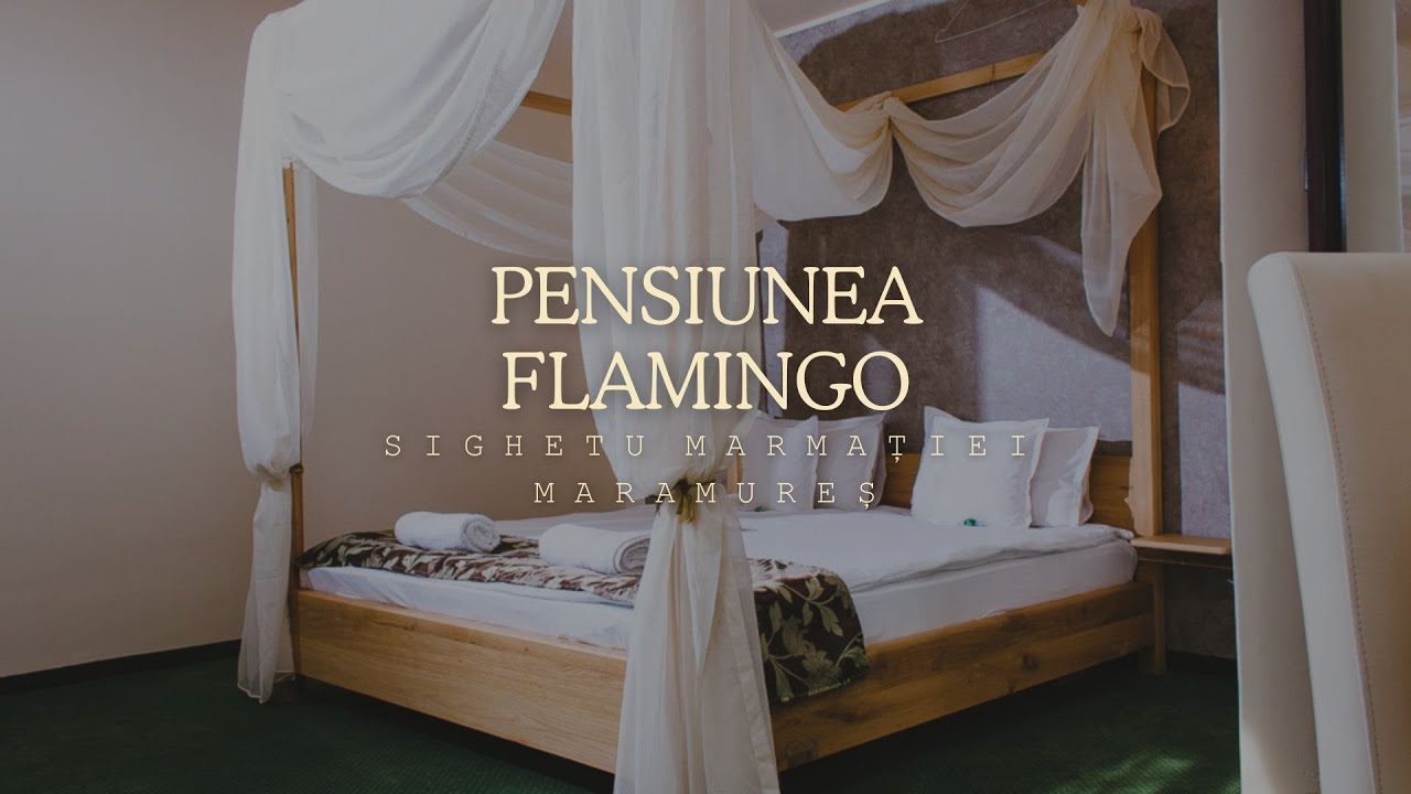 PENSIUNEA FLAMINGO, SIGHETU MARMAȚIEI, MARAMUREȘ, CAZARE CONFORTABILĂ CU MIC DEJUN