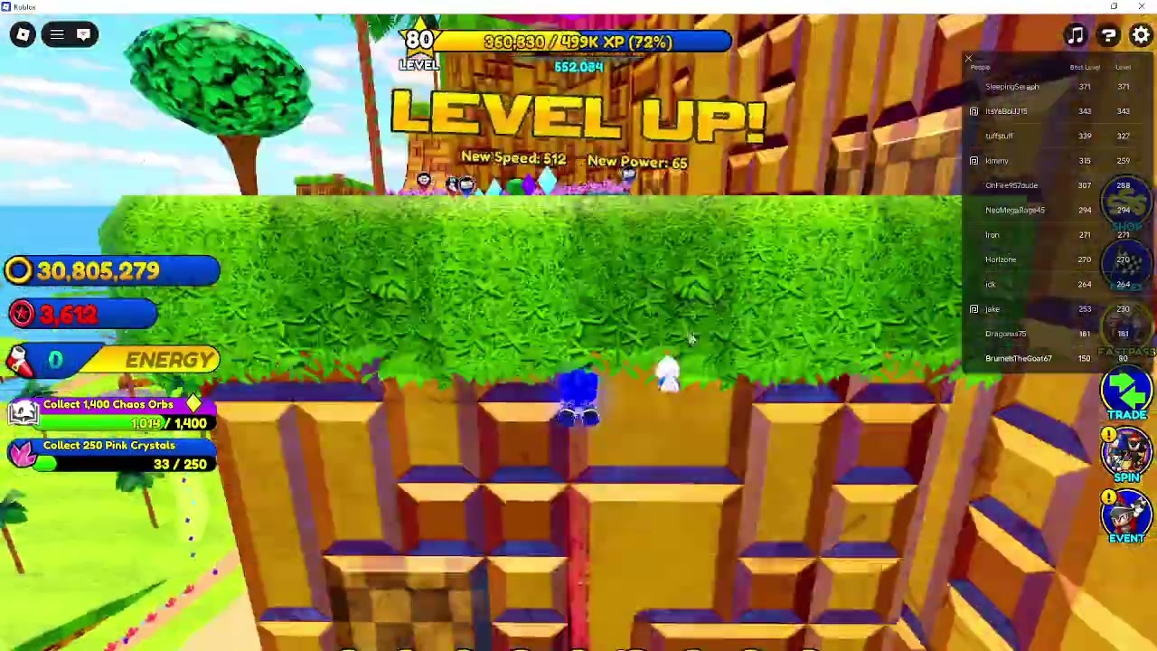 Sonic Speed Simulator