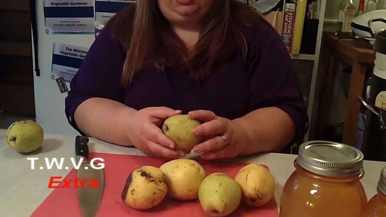 Консервирование домашнего грушевого сока The Wisconsin Vegetable Gardener Extra 20