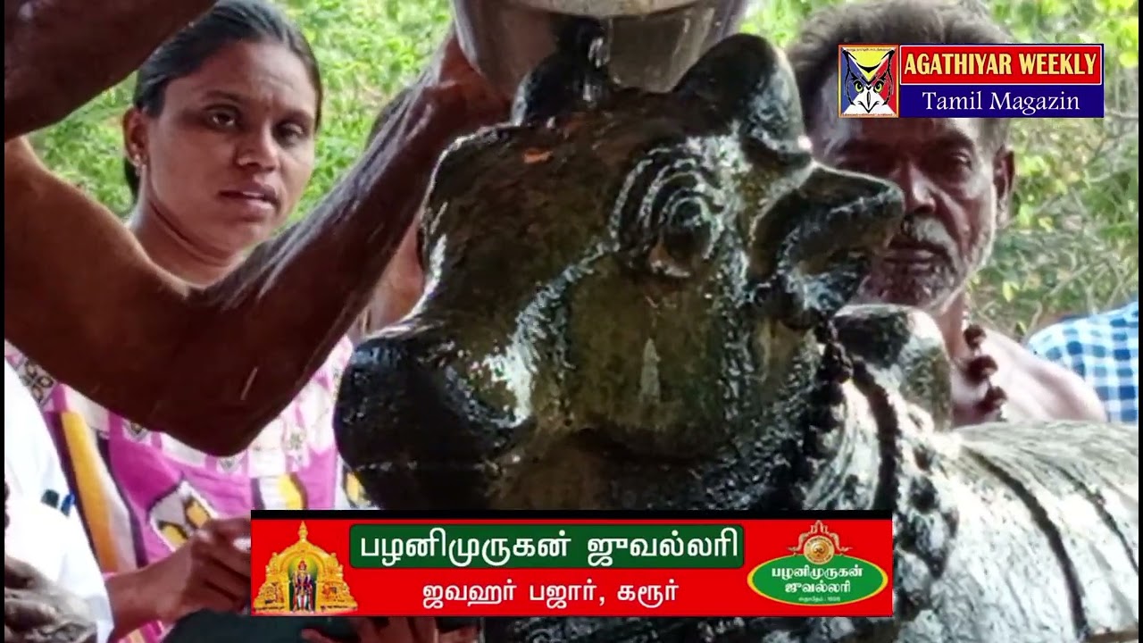 மல்லீஸ்வரர் கோவிலில் பிரதோஷ வழிபாடு 