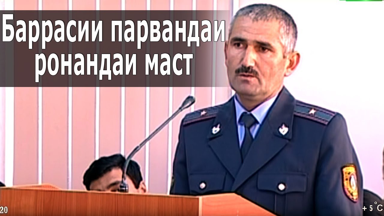 Мурофиа: Баррасии парвандаи ронандаи маст | Murofia