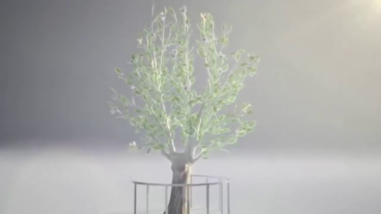 The Survivor Tree