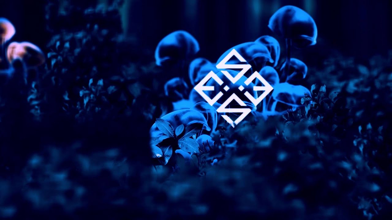 Essex - Toadstools (Meditation Flip)