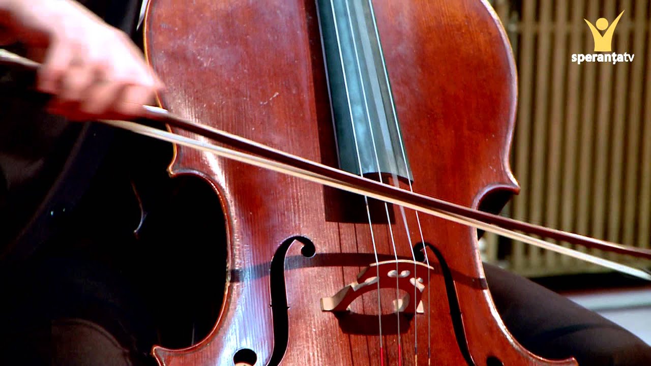 Andrei Ionita si Arthur Bocaneanu - Jules Massenet - Thais Meditation