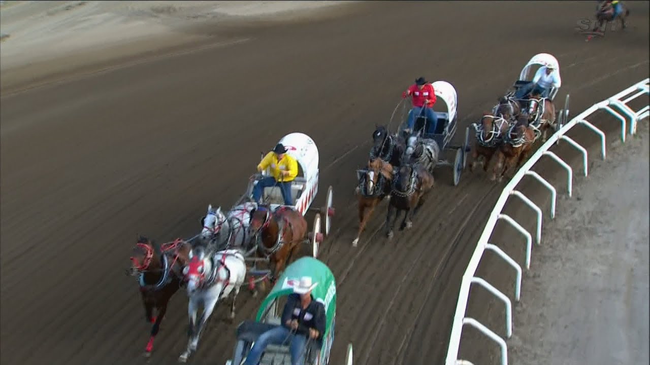 1 horse dead in Calgary Stampede chuckwagon race