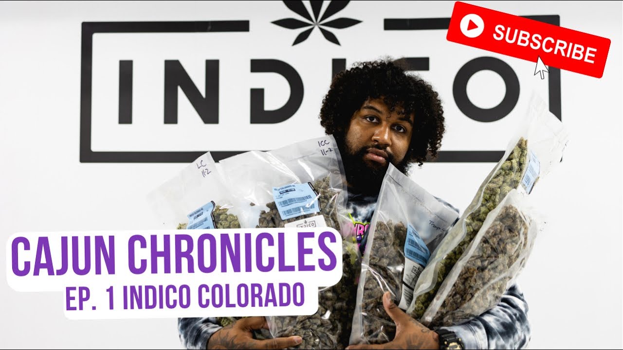 Does Colorado have better Weed than California | Cajun Chronicles Episode 1 - Indico Colorado
