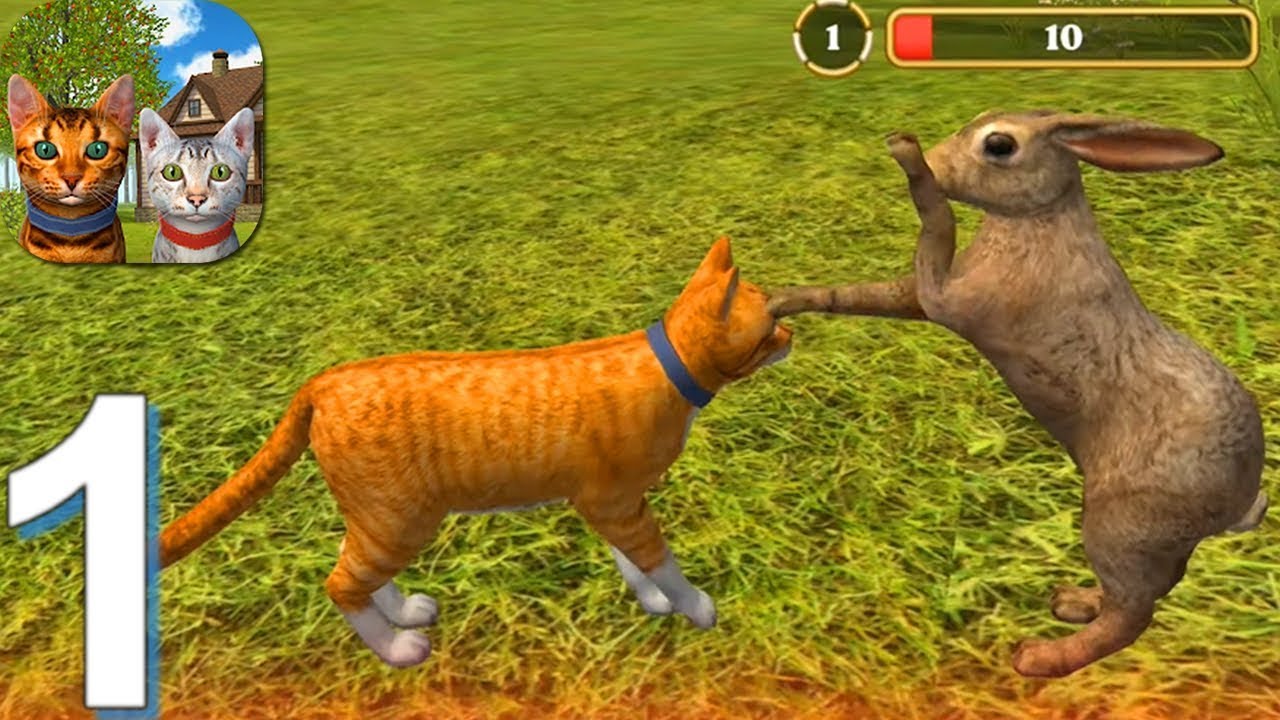 Cat Simulator 2020 - Gameplay Walkthrough Part 1 (Android)