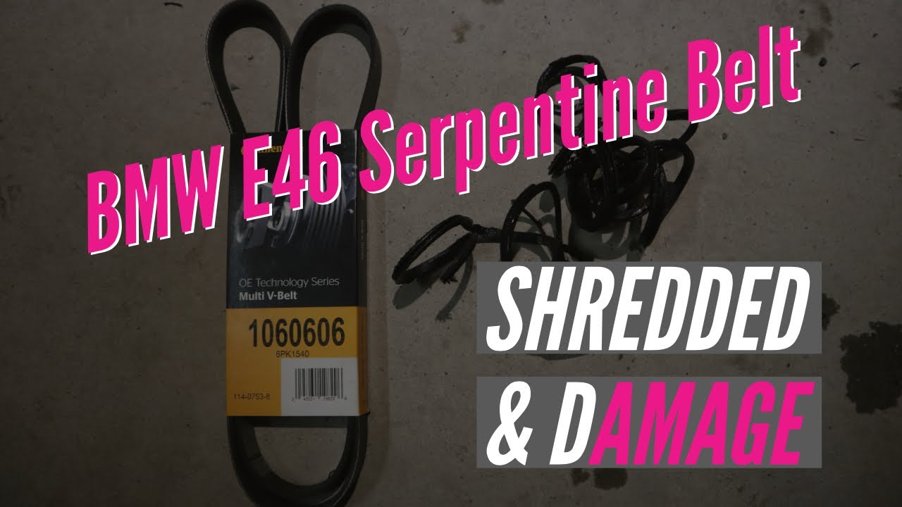 BMW E46 Serpentine Belt | Shredded and Damage