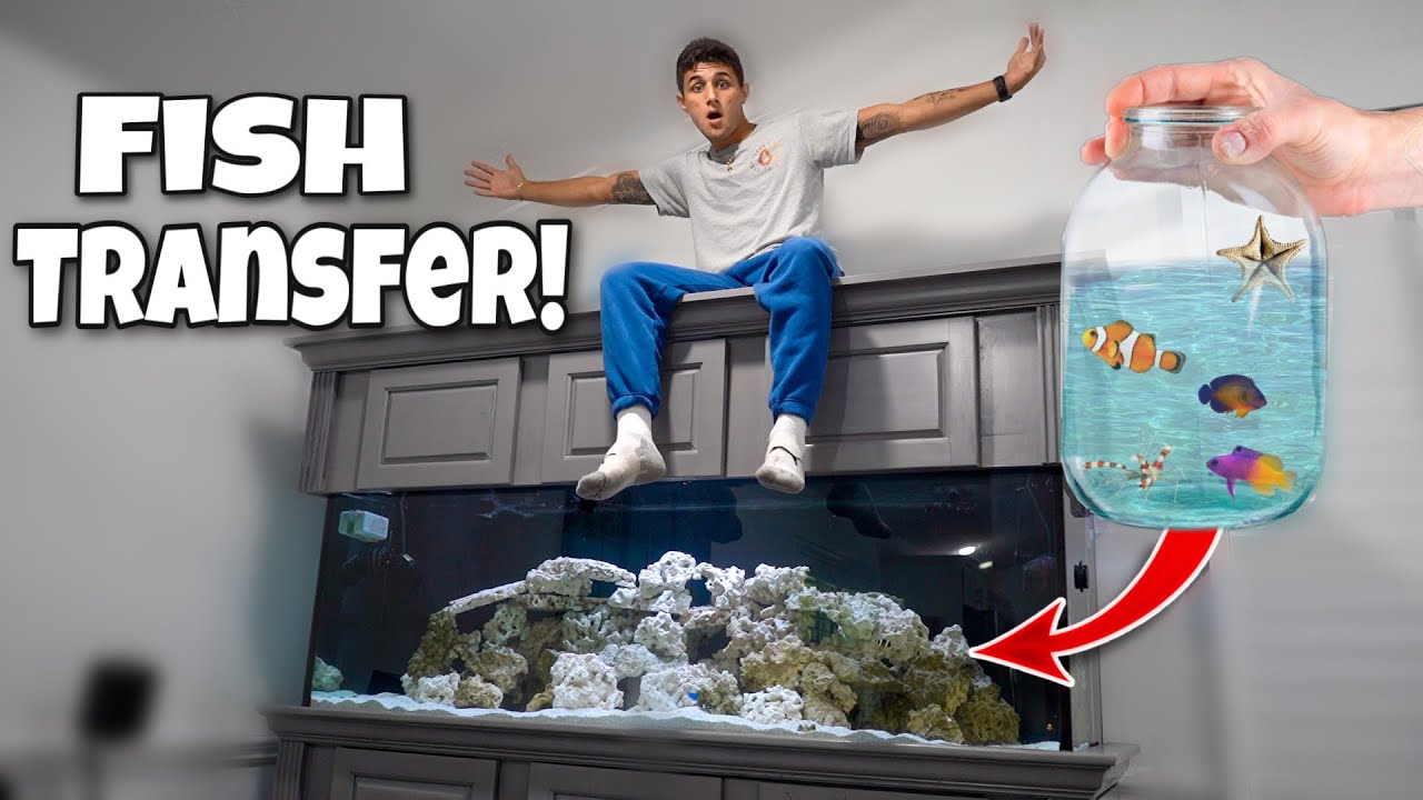 Transferring TROPICAL FISH into My GIANT Saltwater AQUARIUM!!