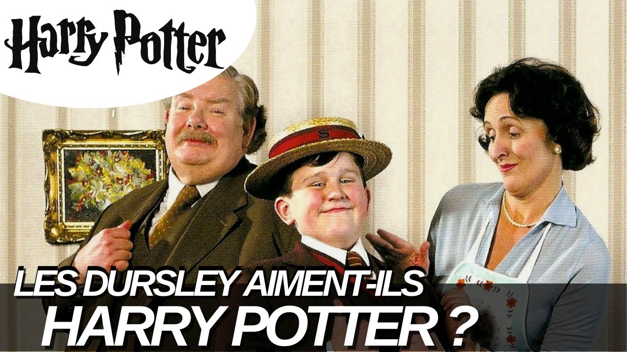 LES DURSLEY AIMENT-ILS HARRY POTTER ?