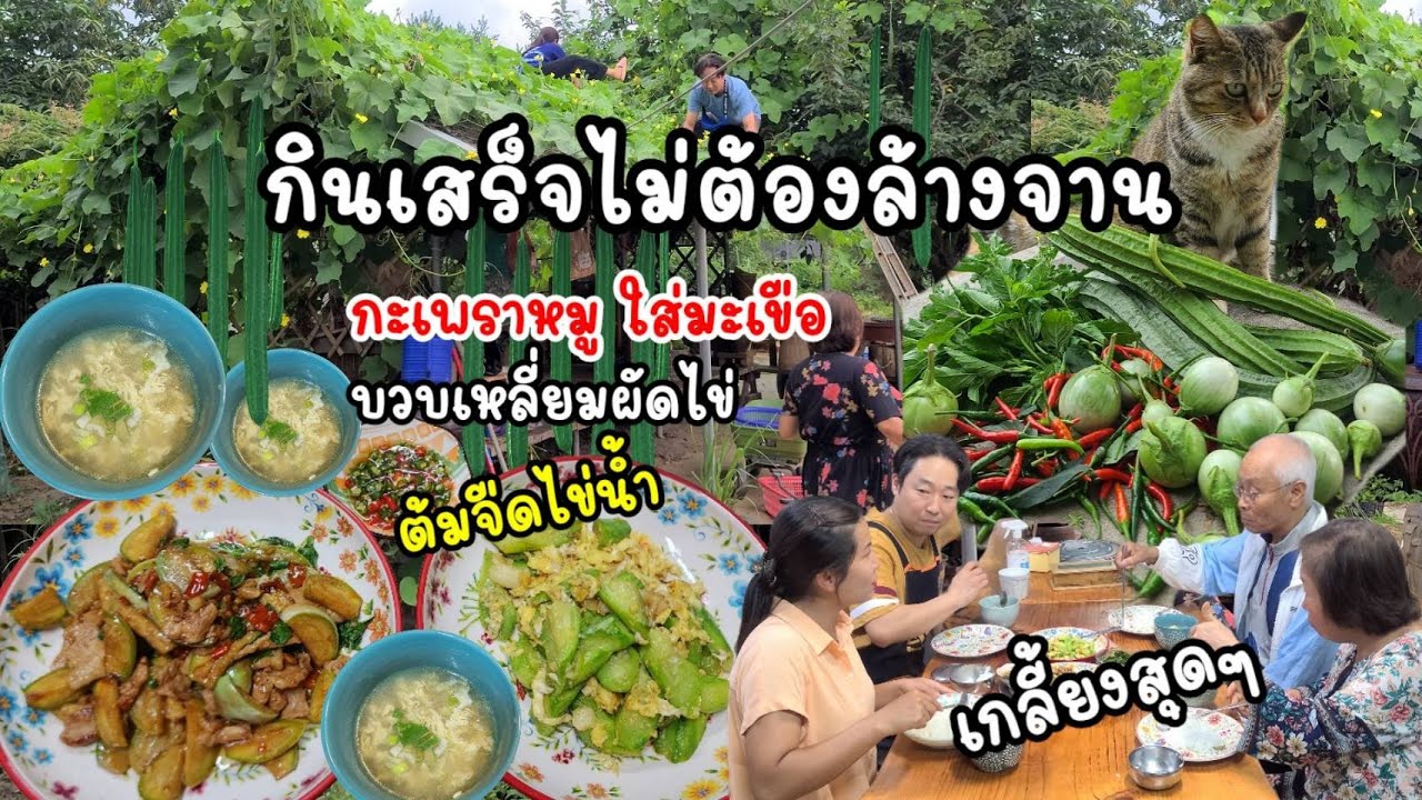 EP.688 ผัดกะเพราหมูใส่มะเขือ ผัดบวบเหลี่ยมใส่ไข่ ต้มจืดไข่น้ำ กินเสร็จไม่ต้องล้างจาน จานสะอาดมาก👍