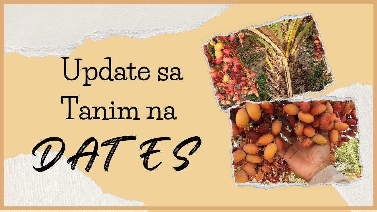 EP35- UPDATE SA TANIM NA DATES (SHARJAH U.A.E)